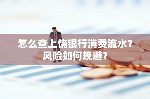 怎么查上饶银行消费流水?风险如何规避?