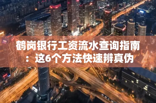 鹤岗银行工资流水查询指南：这6个方法快速辨真伪