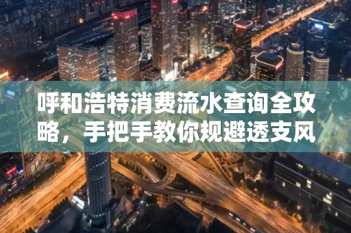 呼和浩特消费流水查询全攻略，手把手教你规避透支风险