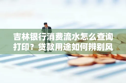 吉林银行消费流水怎么查询打印?贷款用途如何辨别风险?