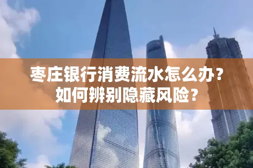 枣庄银行消费流水怎么办?如何辨别隐藏风险?