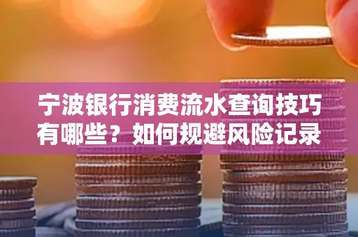 宁波银行消费流水查询技巧有哪些?如何规避风险记录?