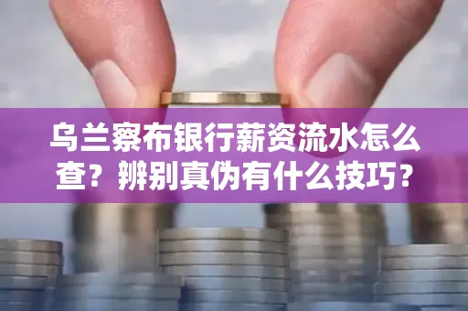 乌兰察布银行薪资流水怎么查?辨别真伪有什么技巧?