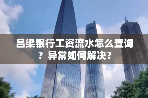 吕梁银行工资流水怎么查询?异常如何解决?