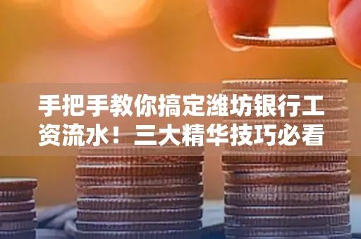手把手教你搞定潍坊银行工资流水!三大精华技巧必看