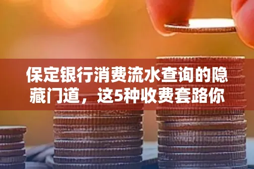 保定银行消费流水查询的隐藏门道,这5种收费套路你知道几个?