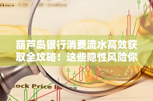 葫芦岛银行消费流水高效获取全攻略!这些隐性风险你必须知道