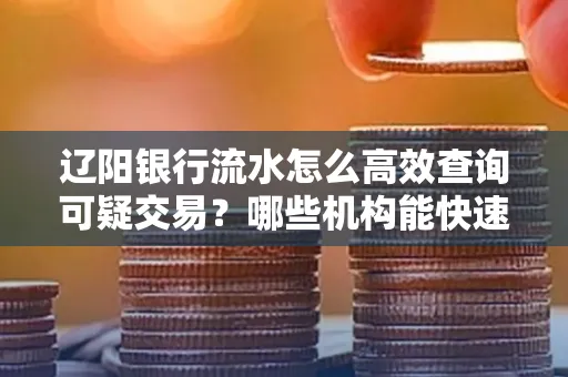 辽阳银行流水怎么高效查询可疑交易?哪些机构能快速分析账单风险?