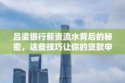 吕梁银行薪资流水背后的秘密,这些技巧让你的贷款申请快人一步