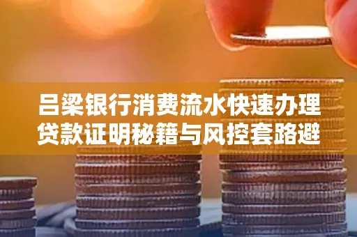 吕梁银行消费流水快速办理贷款证明秘籍与风控套路避坑指南