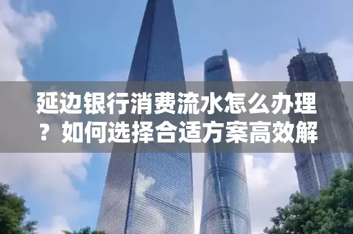 延边银行消费流水怎么办理?如何选择合适方案高效解决?
