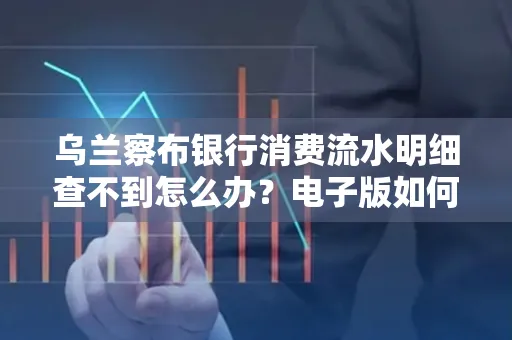 乌兰察布银行消费流水明细查不到怎么办?电子版如何获取攻克技巧?