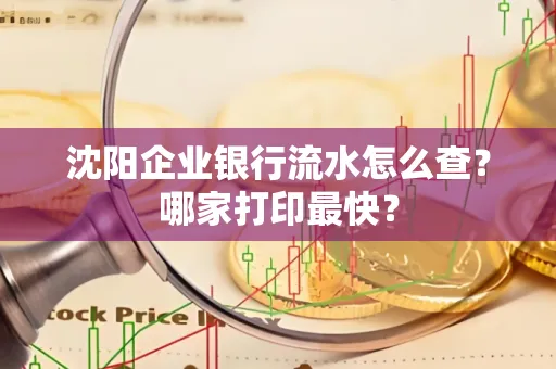 沈阳企业银行流水怎么查?哪家打印最快?