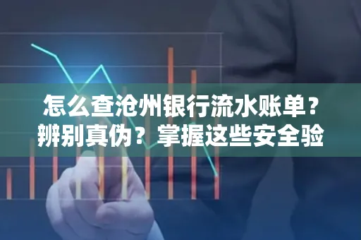 怎么查沧州银行流水账单?辨别真伪?掌握这些安全验证方法