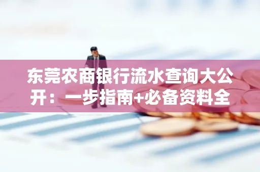 东莞农商银行流水查询大公开:一步指南+必备资料全解读