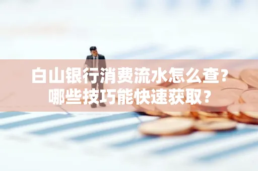 白山银行消费流水怎么查？哪些技巧能快速获取？