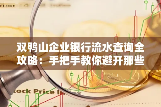 双鸭山企业银行流水查询全攻略：手把手教你避开那些坑