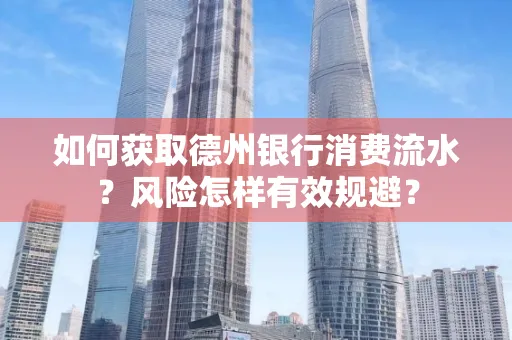 如何获取德州银行消费流水？风险怎样有效规避？