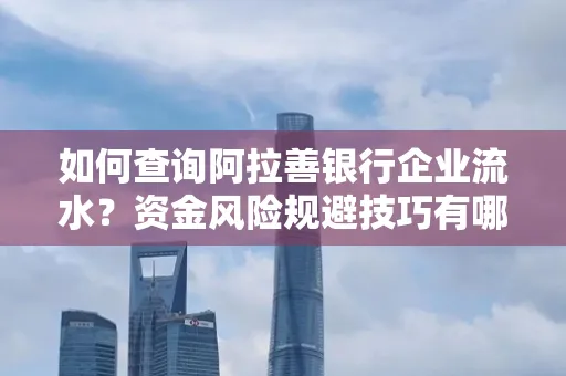 如何查询阿拉善银行企业流水?资金风险规避技巧有哪些?