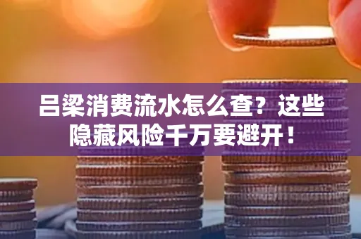 吕梁消费流水怎么查?这些隐藏风险千万要避开!