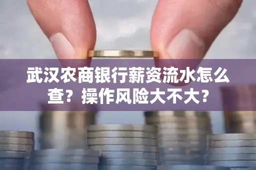 武汉农商银行薪资流水怎么查?操作风险大不大?