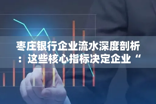 枣庄银行企业流水深度剖析:这些核心指标决定企业“钱袋子”健康度