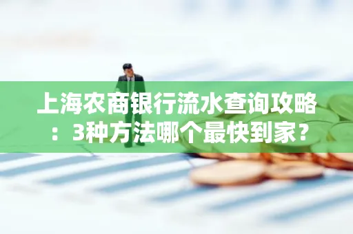 上海农商银行流水查询攻略:3种方法哪个最快到家?