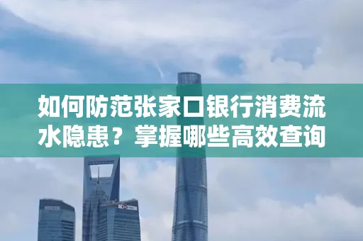 如何防范张家口银行消费流水隐患？掌握哪些高效查询技巧？
