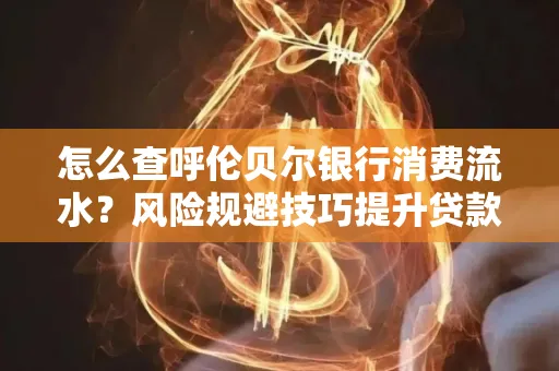 怎么查呼伦贝尔银行消费流水?风险规避技巧提升贷款率?
